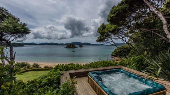 Kauri