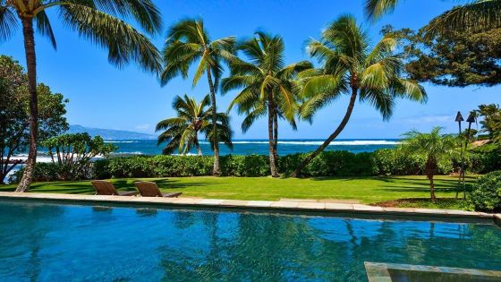 Stella Hawaii