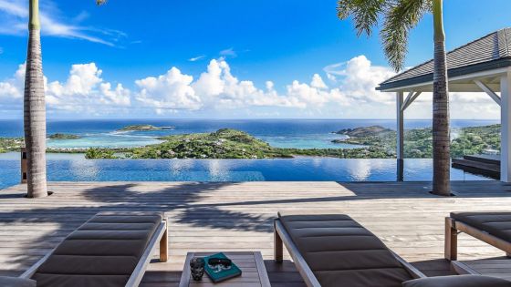 Aster St. Barth